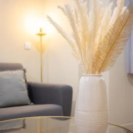 Cosy En Plein Coeur Du Carre Dor דירה ניס